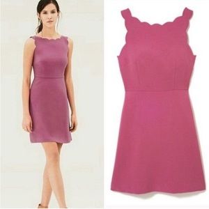 Loft Scallop Neckline Midi Dress 👗